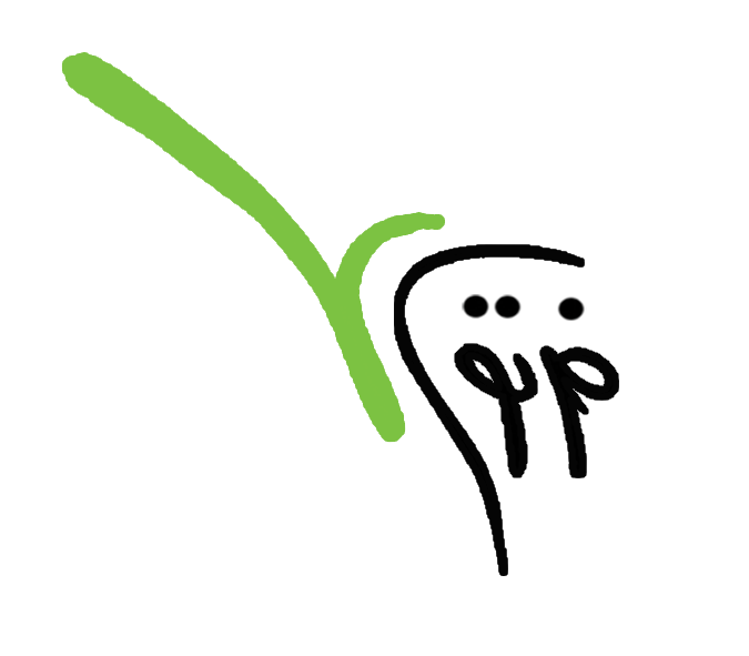 فرتوس